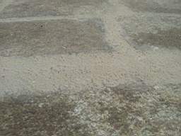 sandymount tower- 21323.jpg